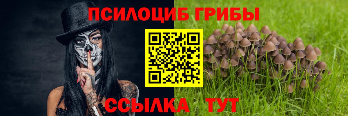 Псилоцибиновые грибы мухоморы Верхняя Салда