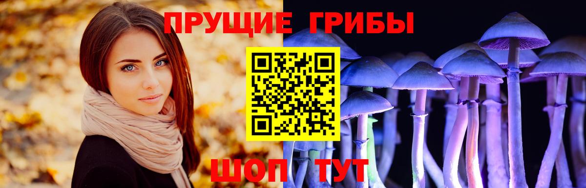 купить наркотик  Галлюциногенные грибы ЛСД  Верхняя Салда  Вход с VPN  Псилоцибиновые грибы MAGIC MUSHROOMS 